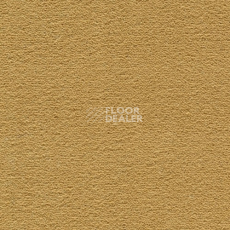 Ковролин Creatuft Sheba 1090 Gold 4+5m фото 1 | FLOORDEALER
